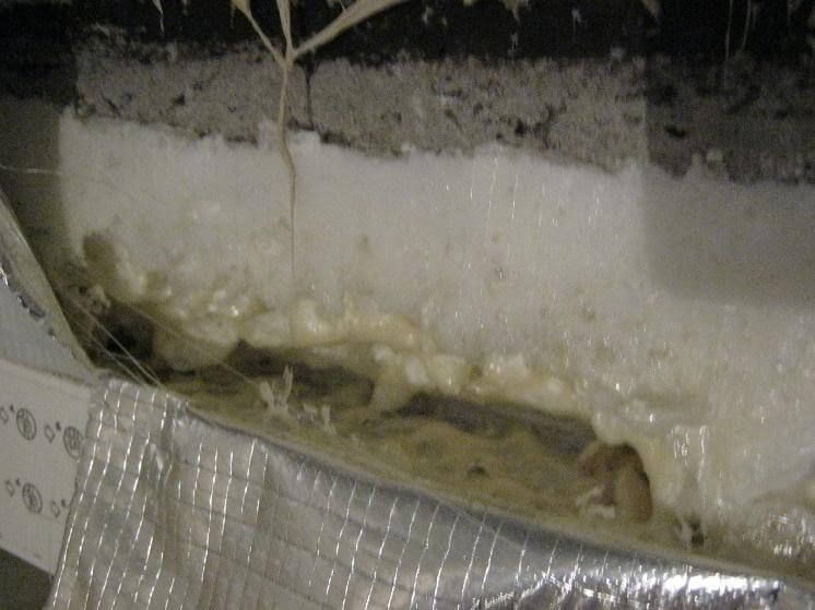 Рисунок отрыва монтажной пены от оконного профиля под пароизоляционной лентой